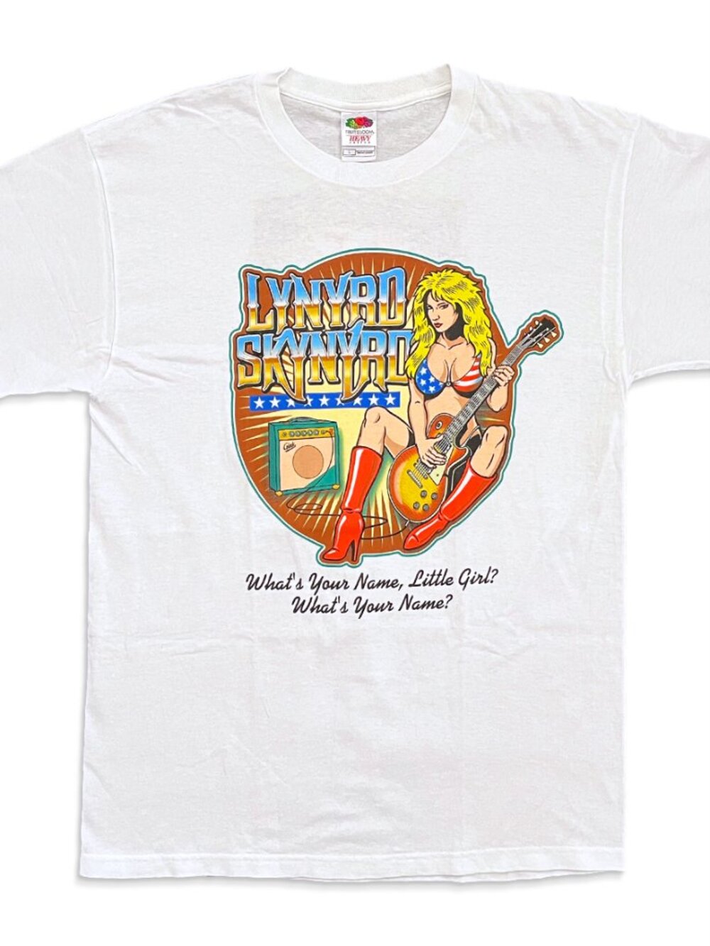 Vintage Lynyrd Skynyrd "What's Your Name" Vicious Cycle Tour 2004